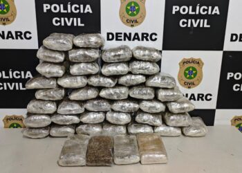 Mulher é presa com 24,2 kg de maconha em rodoviária de Aracaju