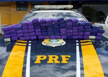 PRF apreende mais de 50 kg de maconha em veículo na BR-101, em Nossa Senhora do Socorro