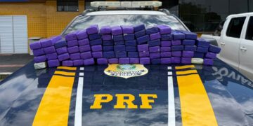 PRF apreende mais de 50 kg de maconha em veículo na BR-101, em Nossa Senhora do Socorro