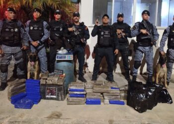 Polícia apreende cerca de 100 kg de maconha em área de mata em Laranjeiras