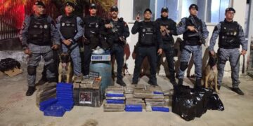 Polícia apreende cerca de 100 kg de maconha em área de mata em Laranjeiras