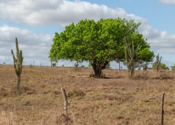 Sergipe terá fim de semana com calor e possibilidade de chuva leve