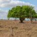 Sergipe terá fim de semana com calor e possibilidade de chuva leve
