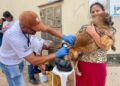 Nossa Senhora do Socorro inicia campanha de vacinação antirrábica