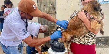 Nossa Senhora do Socorro inicia campanha de vacinação antirrábica