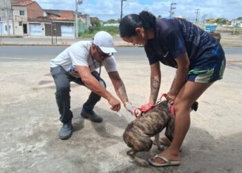 Nossa Senhora do Socorro inicia campanha de vacinação antirrábica para cães e gatos
